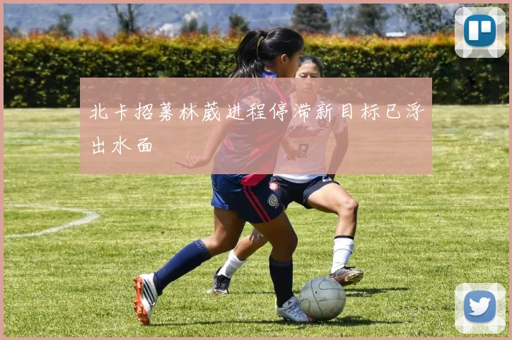 北卡招募林葳进程停滞新目标已浮出水面